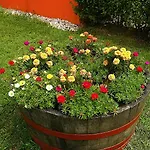 Petra Apartmanhaz Daire