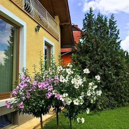 Petra Apartmanhaz